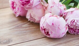 Kedves Vendégeink🥰 Pünkösd vasárnap és hétfőn is várunk Titeket sok szeretettel 7:30-12:00ig!!🌷 👉Vasárnap: 8:00 Dávid alakformáló🤸♀️ 👉Hétfő: 8:00 Anna alakformáló 🤸♀️ 8:00 Szvetlána napüdvözlet 🌞 8:00 Orsi spinning 🚴♂️🚴♀️ 9:00-10:30 Szvetlána stresszoldó jóga🧘♀️🧘♂️ Már 10 éven keresztül Völgy Fitness Veletek Értetek❤